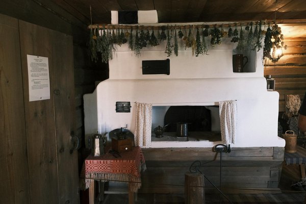 Quelle variété de bambou choisir pour créer un écran végétal persistant qui ne prolifère pas?