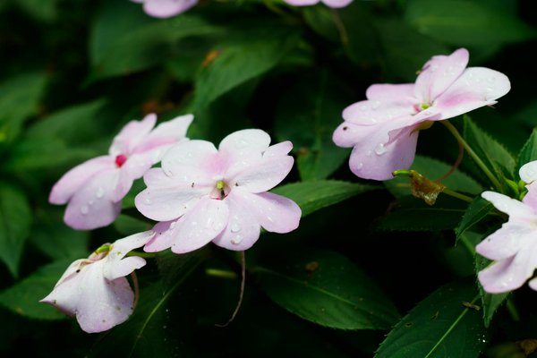 Trouvez le carrelage parfait à cavalaire-sur-mer ici